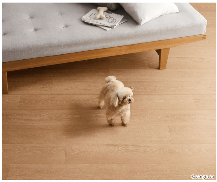 わんにゃん消臭フロア